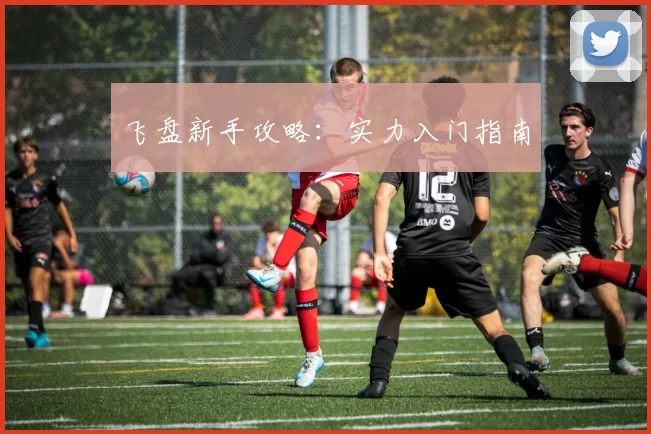 飞盘新手攻略：实力入门指南