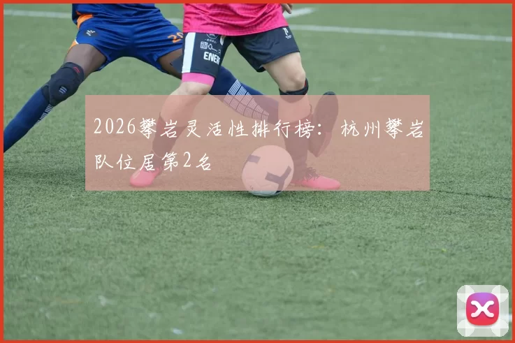2026攀岩灵活性排行榜：杭州攀岩队位居第2名
