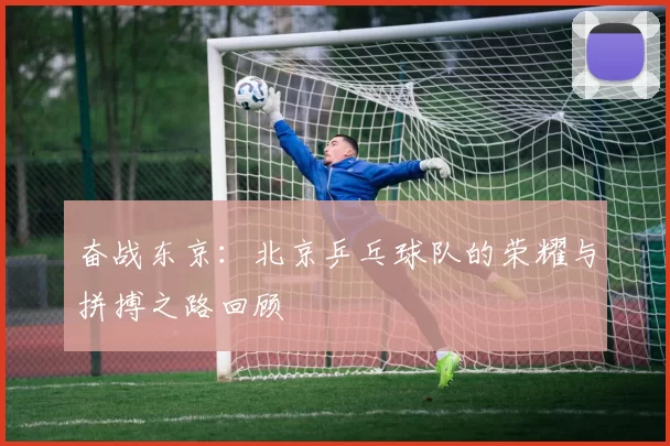 奋战东京：北京乒乓球队的荣耀与拼搏之路回顾