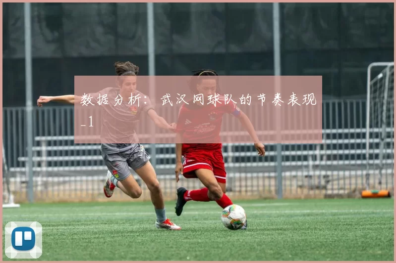 数据分析：武汉网球队的节奏表现_1