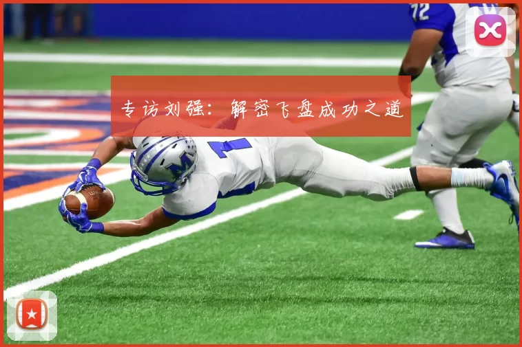 专访刘强：解密飞盘成功之道